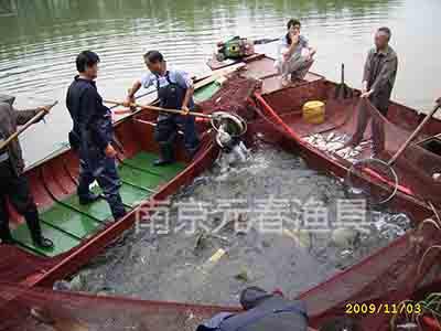 河流捕鱼 示范